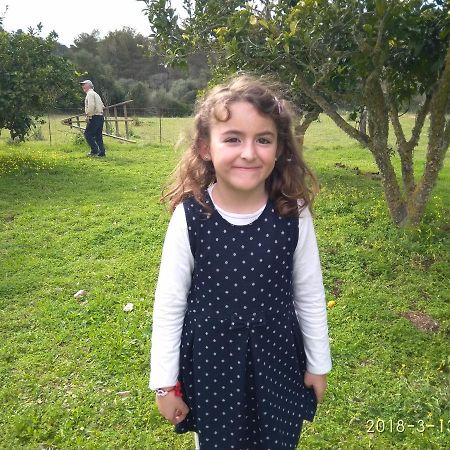 Agroturismo Sa Vall Son Macia  Luaran gambar